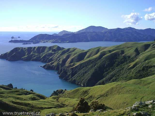 Pelorus Sound, Marlborough, Nový Zéland
