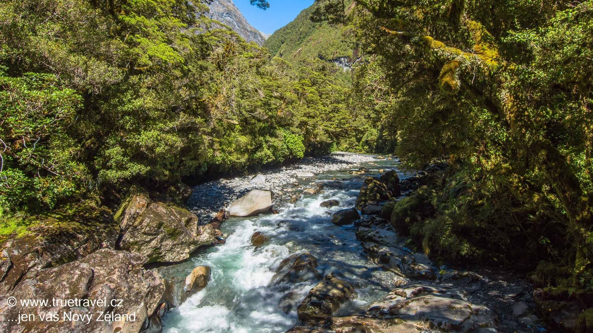 Cleddau River, Chasm, Milford Road, Fiordland, Nový Zéland