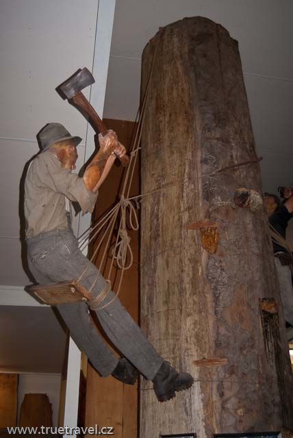 Matakohe a muzeum stromů kauri, Nový Zéland