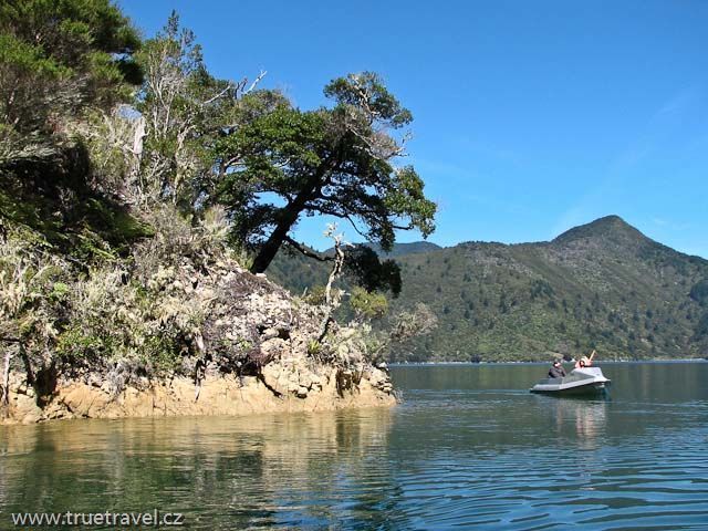 Vodní safari, Marlborough Sounds, Nový Zéland